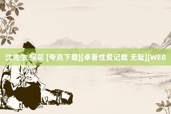 沈先生 探花 [夸克下载][卓著性爱记载 无耻][WEB
