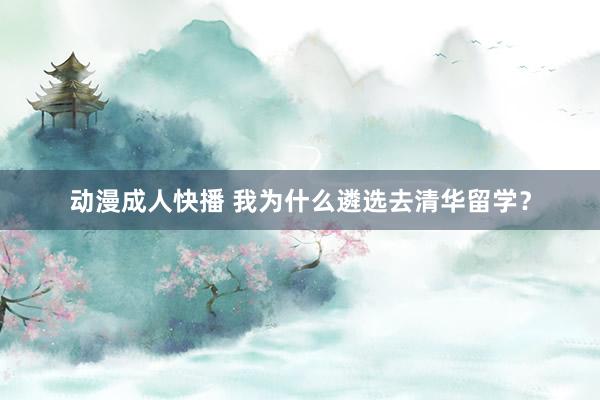 动漫成人快播 我为什么遴选去清华留学？