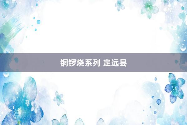 铜锣烧系列 定远县