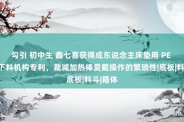 勾引 初中生 鑫七喜获得成东说念主床垫用 PE 透气膜下料机构专利，裁减加热棒爱戴操作的繁琐性|底板|料斗|箱体