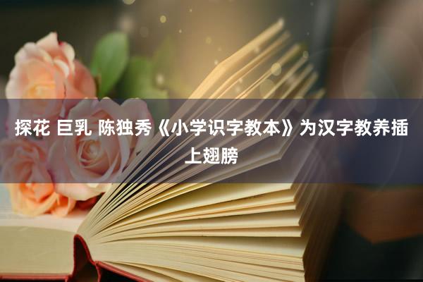 探花 巨乳 陈独秀《小学识字教本》为汉字教养插上翅膀