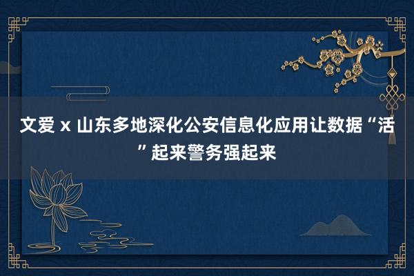 文爱 x 山东多地深化公安信息化应用让数据“活”起来警务强起来