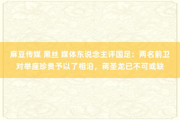 麻豆传媒 黑丝 媒体东说念主评国足：两名前卫对举座珍贵予以了相沿，蒋圣龙已不可或缺